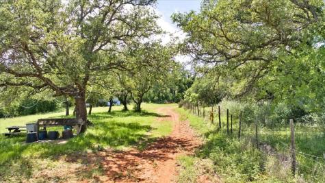3676 Red Lane Mason TX 76856
