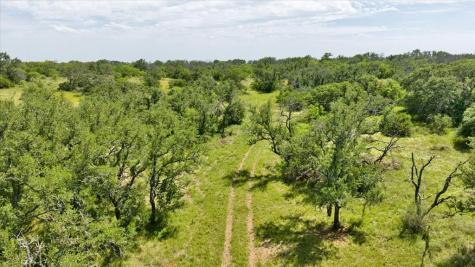 3676 Red Lane Mason TX 76856