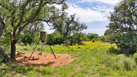 3676 Red Lane Mason TX 76856