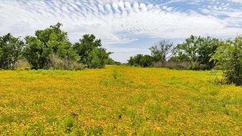 3676 Red Lane Mason TX 76856