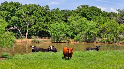 3676 Red Lane Mason TX 76856