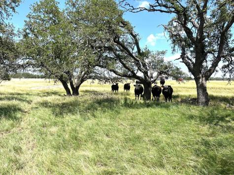 Lot 10 S Ranch Road 783 Harper TX 78631