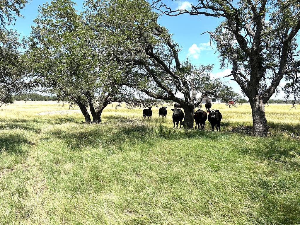 Lot 10 S Ranch Road 783 Harper TX 78631