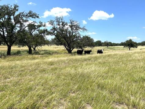 Lot 10 S Ranch Road 783 Harper TX 78631