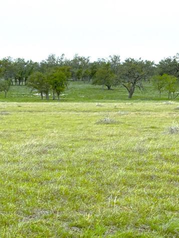 Lot 10 S Ranch Road 783 Harper TX 78631