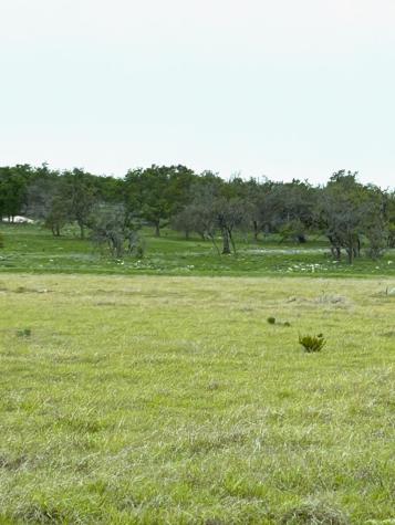 Lot 10 S Ranch Road 783 Harper TX 78631