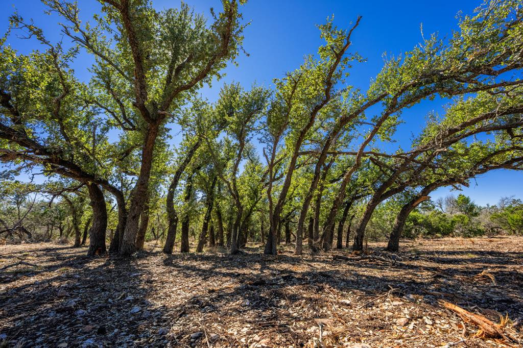 0000 Keese Road Fredericksburg TX 78624