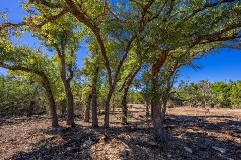 0000 Keese Road Fredericksburg TX 78624
