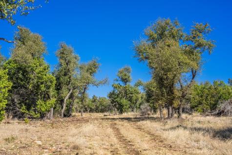 0000 Keese Road Fredericksburg TX 78624