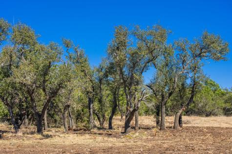 0000 Keese Road Fredericksburg TX 78624