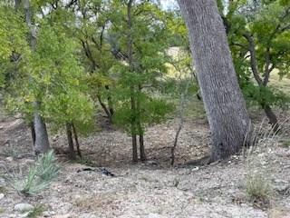 800 Schumann Road Stonewall TX 78671