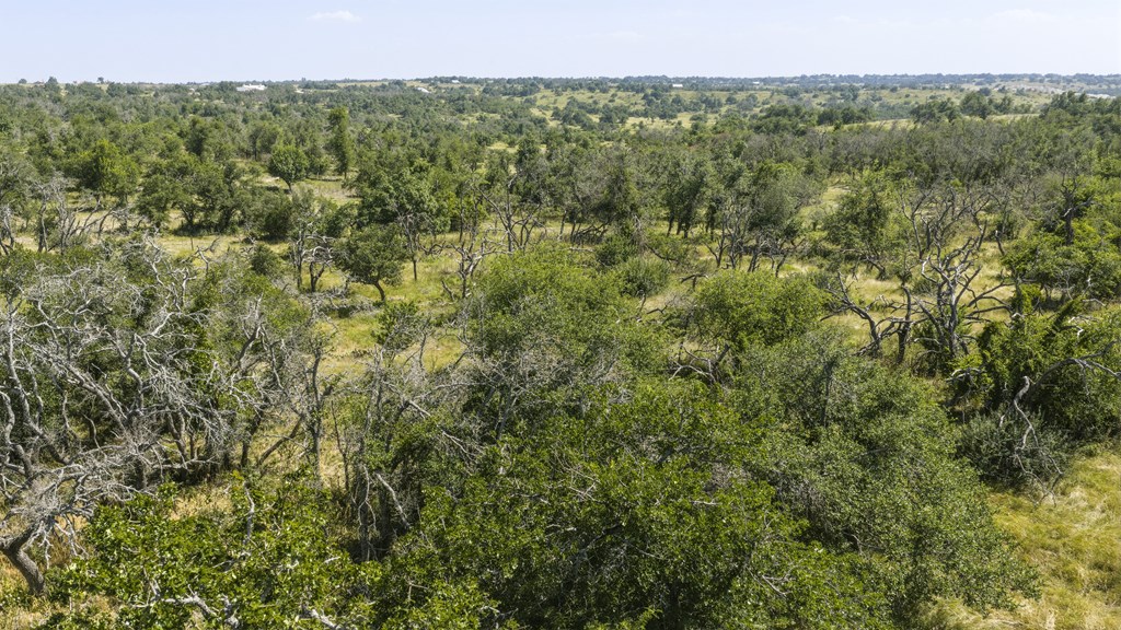 Tbd W Doss Spring Creek Road Fredericksburg TX 78624