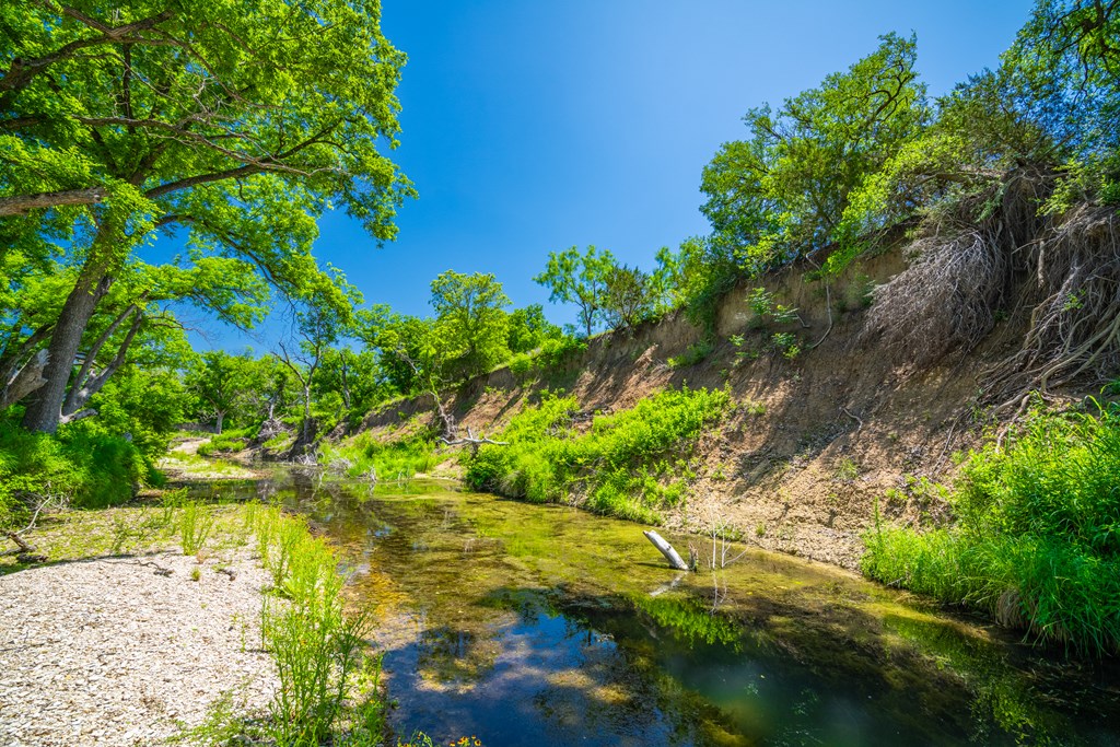 0 County Road 535 Evant TX 76525