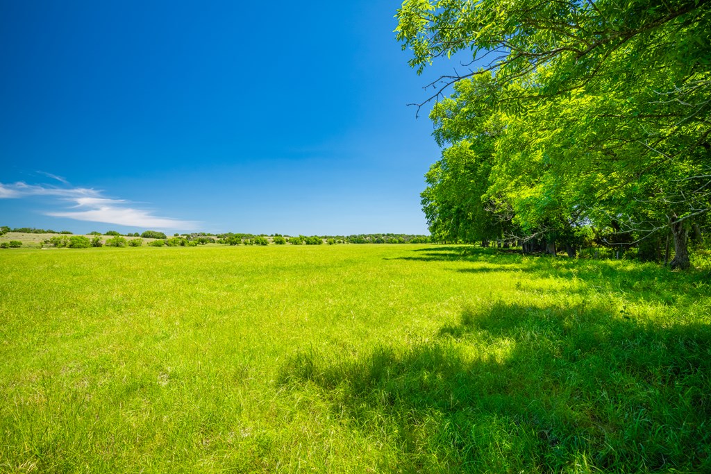 0 County Road 535 Evant TX 76525
