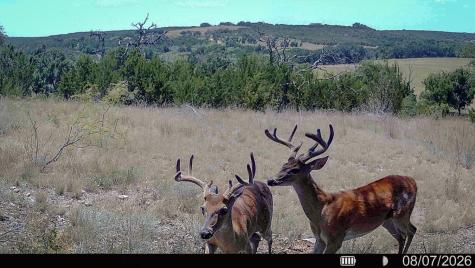 0 County Road 535 Evant TX 76525
