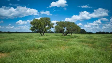 19316 Ranch Road 1871 Mason TX 76856