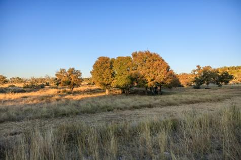 5595 Schneider-moellering Road Fredericksburg TX 78624