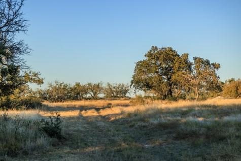 5595 Schneider-moellering Road Fredericksburg TX 78624