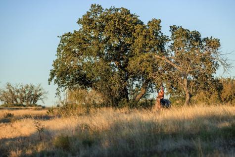 5595 Schneider-moellering Road Fredericksburg TX 78624