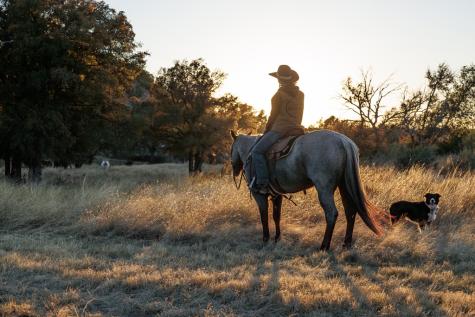 5595 Schneider-moellering Road Fredericksburg TX 78624