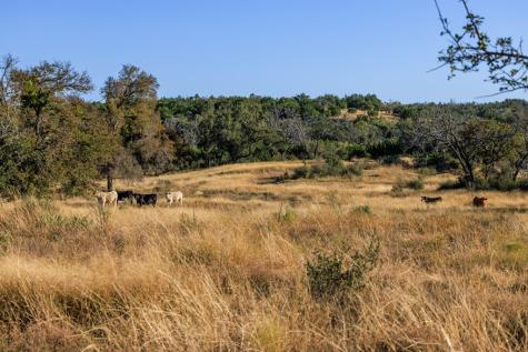 5595 Schneider-moellering Road Fredericksburg TX 78624