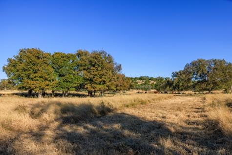 5595 Schneider-moellering Road Fredericksburg TX 78624