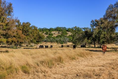 5595 Schneider-moellering Road Fredericksburg TX 78624
