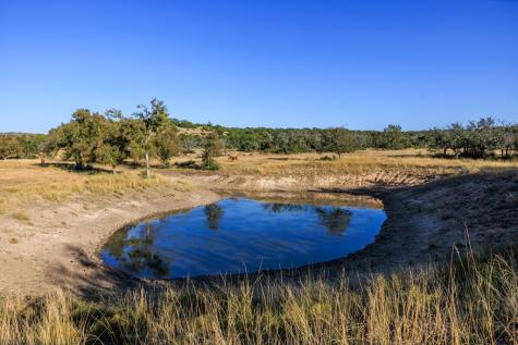 5595 Schneider-moellering Road Fredericksburg TX 78624