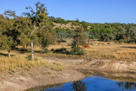 5595 Schneider-moellering Road Fredericksburg TX 78624