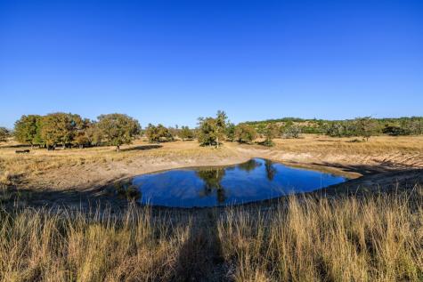 5595 Schneider-moellering Road Fredericksburg TX 78624