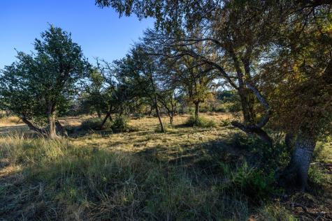 5595 Schneider-moellering Road Fredericksburg TX 78624