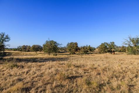 5595 Schneider-moellering Road Fredericksburg TX 78624