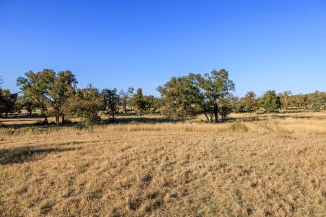 5595 Schneider-moellering Road Fredericksburg TX 78624