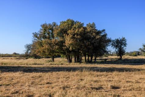 5595 Schneider-moellering Road Fredericksburg TX 78624