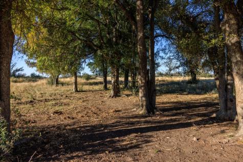 5595 Schneider-moellering Road Fredericksburg TX 78624