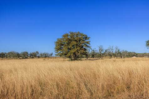 5595 Schneider-moellering Road Fredericksburg TX 78624