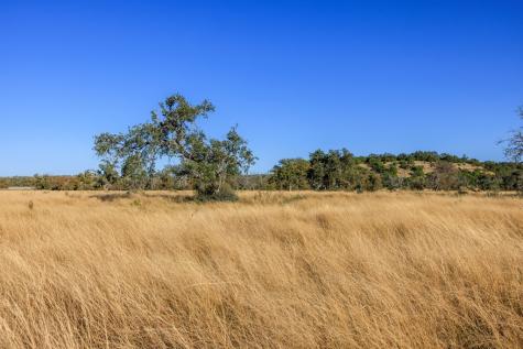 5595 Schneider-moellering Road Fredericksburg TX 78624
