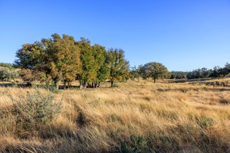 5595 Schneider-moellering Road Fredericksburg TX 78624