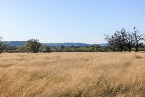 5595 Schneider-moellering Road Fredericksburg TX 78624