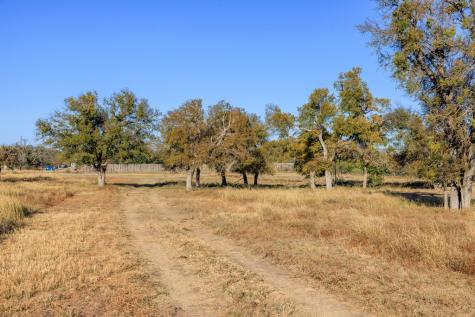 5595 Schneider-moellering Road Fredericksburg TX 78624