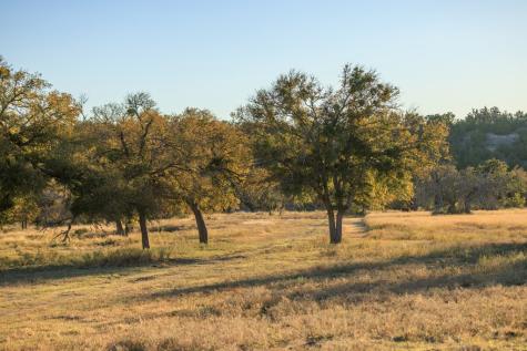 5595 Schneider-moellering Road Fredericksburg TX 78624