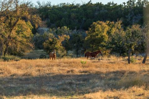 5595 Schneider-moellering Road Fredericksburg TX 78624