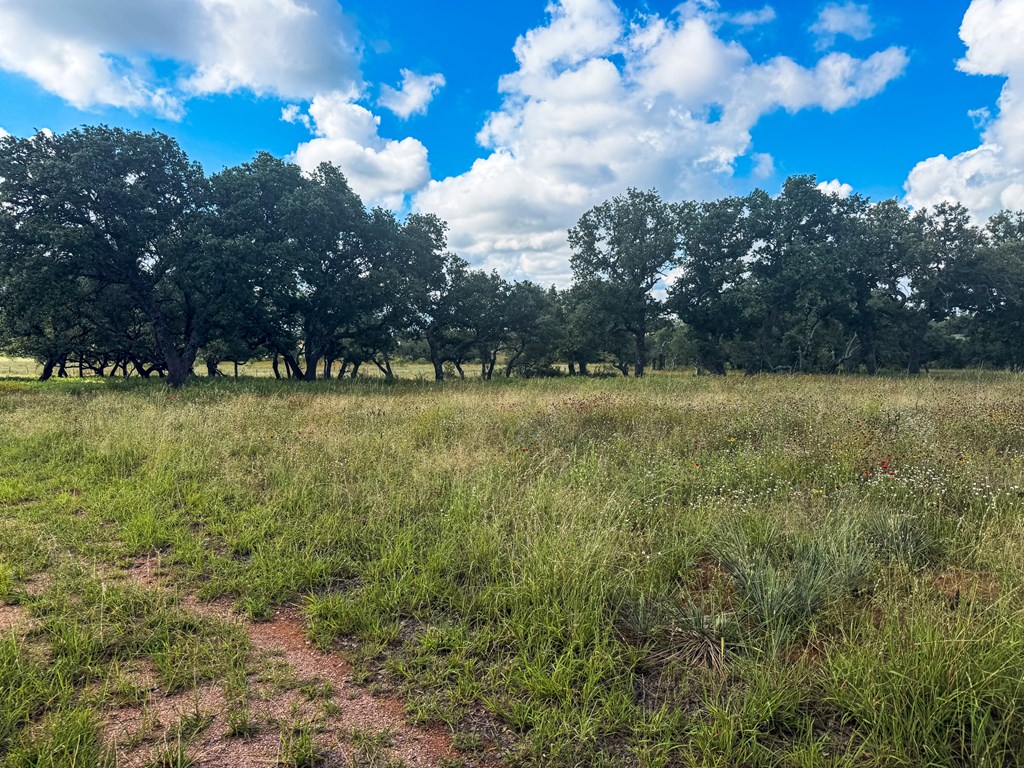 107 Private Road 607 Voca TX 76887