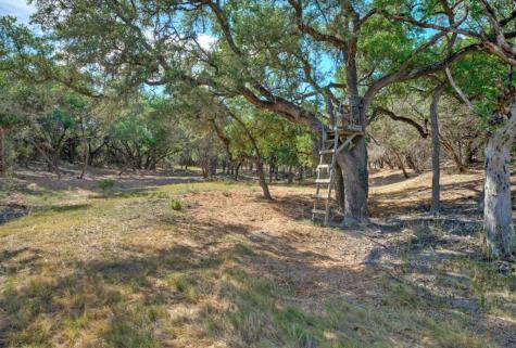 1430 Gibson-best Road Hye TX 78635