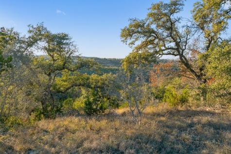 18700 Moreh Peak Austin TX 78738
