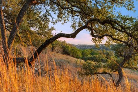 18700 Moreh Peak Austin TX 78738