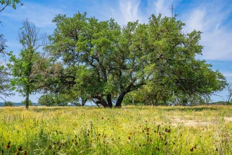 505 Fm 473 Comfort TX 78013