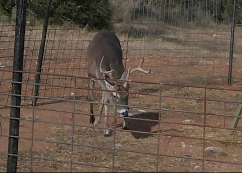 Tbd Madden Ranch Road Llano TX 78643