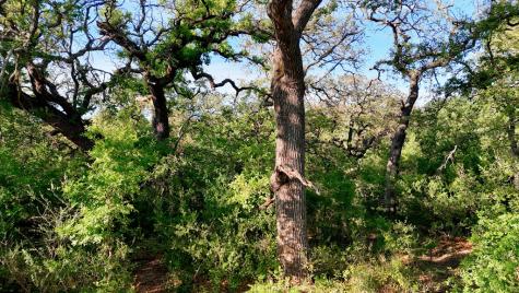 Tbd Madden Ranch Road Llano TX 78643