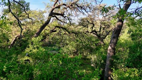 Tbd Madden Ranch Road Llano TX 78643